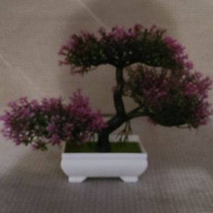 Fake bonsai tree